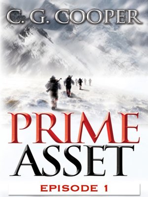 cover image of Prime Asset